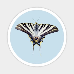 Scarce Swallowtail Vector Art Cut Out Magnet